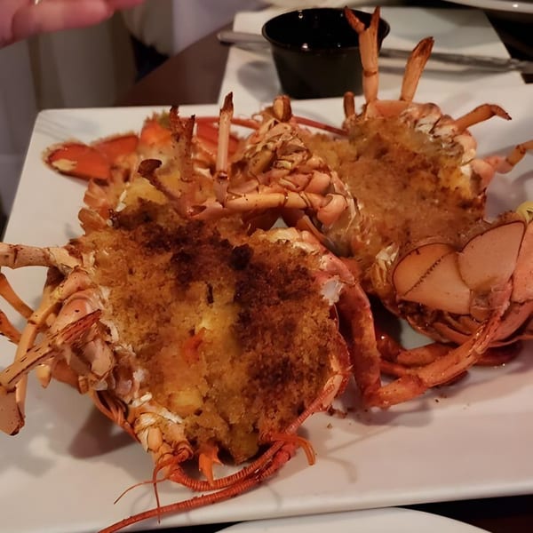 Baked stuffed lobster with breadcrumb topping on a white plate at The Wardhurst Restaurant.